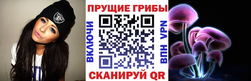 KRAKEN   наркошоп  Кашин  Галлюциногенные грибы Magic Shrooms 
